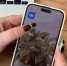 Как вернуть уведомления ВКонтакте на iPhone: рабочий способ после удаления из App Store - ProGorod.Ru