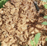 aibg4h6rjwevl1tnrk1j5zkbfaygxzn3 - Novosti-Saratova.Ru