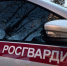 Похищенного в Чигирях мужчину избили, насильно посалили в машину и увезли - ИА Порт Амур