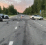 27-летний водитель погиб в страшной аварии с лосем на костромской трассе - Интернет-телевидение Логос