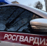 Сотрудниками Росгвардии задержаны исполнители похищения человека в Амурской области - Росгвардия