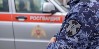 Фото: Юлия Чудинова/«Ямал-Медиа» - Ямал-Медиа