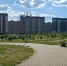 В Олимпийском парке Тамбова отпразднуют День молодёжи - OnlineTambov.Ru