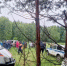 В Татарстане спасли 72-летнюю женщину, потерявшуюся в лесу - TatPressa.Ru