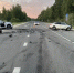 Лось стал причиной смертельного ДТП в Нерехтском районе - Комсомольская Правда