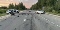 Лось стал причиной смертельного ДТП в Нерехтском районе - Комсомольская Правда