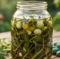 Ушлые дачники пасынки томатов обрывают, но не выбрасывают: вот какую полезную вещь из них готовят — результат поражает - PRO Город Владимир