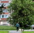 Власти Кирова отчиталась о благоустройстве семи дворов - ProGorod.Ru