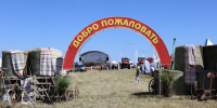 Глава Владимирской митрополии посетил агрофорум «День поля» в «Заречье» - Владимирская епархия
