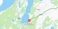 Крупный медведь бродит под Никелем - SeverPost.ru