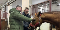 Приглашаем участников СВО и их семьи на мастер-класс «Уход за лошадью» - Министерство физкультуры и спорта