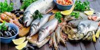 Сырая заготовка: рыба и морепродукты. Храним и готовим правильно - Роспотребнадзор