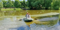 К очистке воды в прудах Ковыринского парка приступили в Вологде - Вологда.РФ