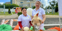 Ведущие вузы Курска развернули образовательные площадки на Полугоре в День молодёжи - Городские Известия