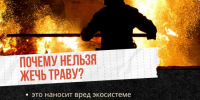 Трава – не дрова! - Город Североморск