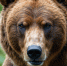 image - GazetaRB.Ru