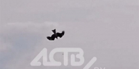 Упал камнем с неба: сахалинцы угостили рыбой орла - News.Astv.Ru