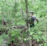 hy6vb74ngbbjw38xw6a3sgn3mu6fwmpc.jpeg - Primorye24.Ru