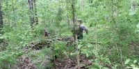 hy6vb74ngbbjw38xw6a3sgn3mu6fwmpc.jpeg - Primorye24.Ru
