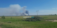 Пожар в Солоновском участковом лесничестве Алтайского края / Фото: Barnaul 22 - ИА Амител