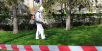 Самарцам рассказали, как бороться с клещами на даче - Самарская Газета