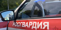 Коньяк, сок и шесть шоколадок пытался украсть ульяновец в супермаркете - Ulyanovsk.Express