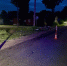Пешеход скончался до приезда врачей. - Новгородские Ведомости