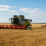 Начало уборочной кампании в Татарстане запланировано на первую декаду июля - ProKazan.Ru