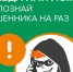 Начался IX этап Всероссийской просветительской эстафеты «Мои финансы», который продлится до 1 августа. - Город Курск