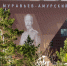 До +33 °С: какая погода ждет амурчан 29 июня - gtrkamur.ru - ГТРК Амур