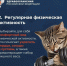 В Минздраве Псковской области раскрыли привычки, которые помогают сохранить молодость - Pln-Pskov.Ru
