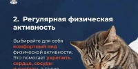 В Минздраве Псковской области раскрыли привычки, которые помогают сохранить молодость - Pln-Pskov.Ru