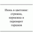 Июнь в цветнике: стрижка, кормежка и переворот горшков - Газета Красное Знамя