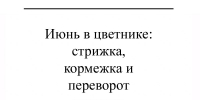 Июнь в цветнике: стрижка, кормежка и переворот горшков - Газета Красное Знамя