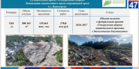 image - Газета Балтийский луч