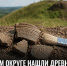 В Задонском округе нашли неизвестное древнее городище - Газета Задонская правда