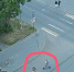 В Петрозаводске разыскивают родителей девочек, которые угнали сломанный электросамокат - Gubdaily.Ru