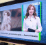 Планируем телепросмотр: «Область 45» в эфире ОТР с 29 июня по 5 июля - Область 45