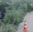 Пьяный 16-летний водитель устроил ДТП с «перевертышем» в Нижегородской области - НИА Нижний Новгород