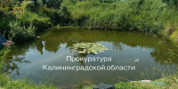 Прокуратура: утонувшая в Полесском районе шестилетняя девочка находилась без присмотра (фото) - NewKaliningrad.Ru