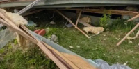 Двое рабочих пострадали при сносе хозяйственной постройки в Лужском районе Ленобласти - Spbdnevnik.ru