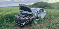 Бензовоз пропахал поле с подсолнухами: число пострадавших в ДТП под Сызранью выросло - КТВ-ЛУЧ