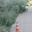 Пьяный подросток за рулем легковушки вылетел в кювет в Нижегородской области - фото 1 - vGorodeN.Ru
