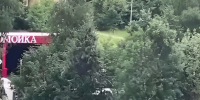 ПИЛЯТ ДЕРЕВЬЯ ДЛЯ УДОБСТВА АВТОМОЙКИ! - Экооборона Московской области