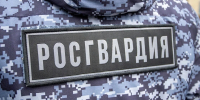 Более 210 выездов за неделю: Росгвардия отчиталась о работе в Туле - ИА Тульская служба новостей