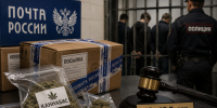 Контрабанда каннабиса через «Почту России»: фигуранты дела получили от 10 до 12,5 лет колонии - Bloknot-Rostov.Ru