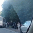 Легковой автомобиль столкнулся с автобусом в Прионежском районе - StolicaOnego.Ru