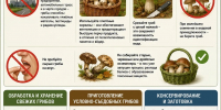 «Роспотребнадзор: как правильно собирать и готовить грибы, чтобы избежать отравления» - Район Крюково ЗелАО Москвы