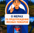 О МЕРАХ ПО ПРЕДУПРЕЖДЕНИЮ ЛЕСНЫХ ПОЖАРОВ - Пожарно-спасательный центр