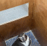 You are viewing the image with filename IMG_20260626_110634.png - Уссурийская газета Коммунар